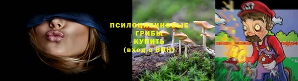 спиды Бугульма