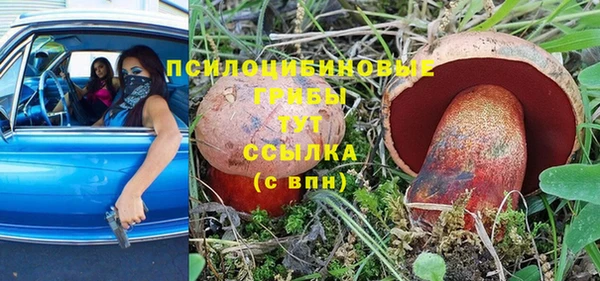 шишки Вяземский