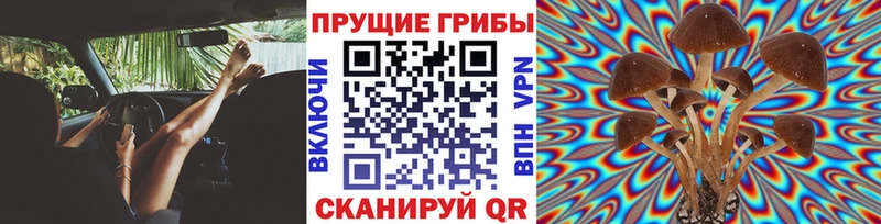 Галлюциногенные грибы мицелий  Луховицы 